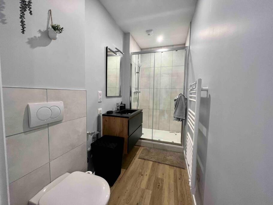 Appartement Climatise 4 Personnes / Centre-Ville Besancon Ngoại thất bức ảnh